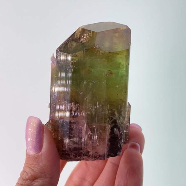Tourmaline with Lepidolite (one time pocket)