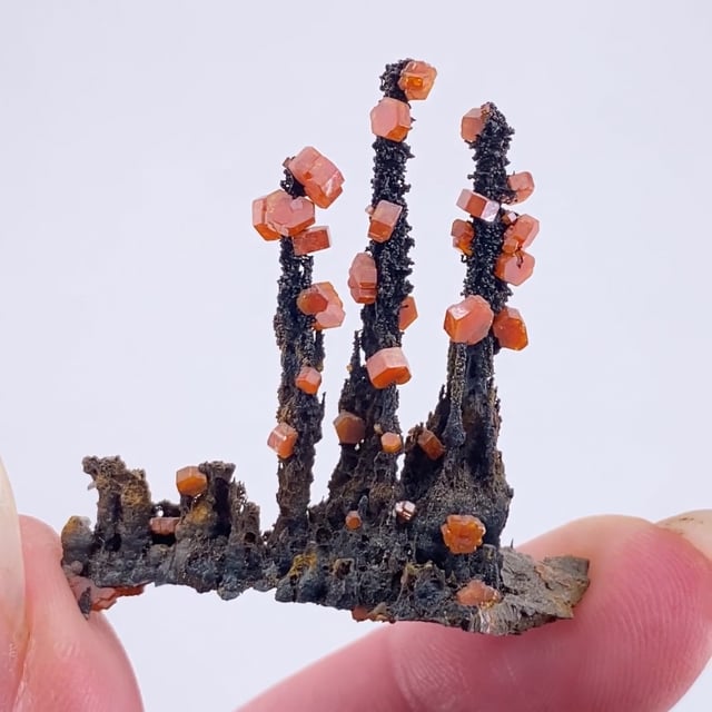 Vanadinite on Goethite Stalactites