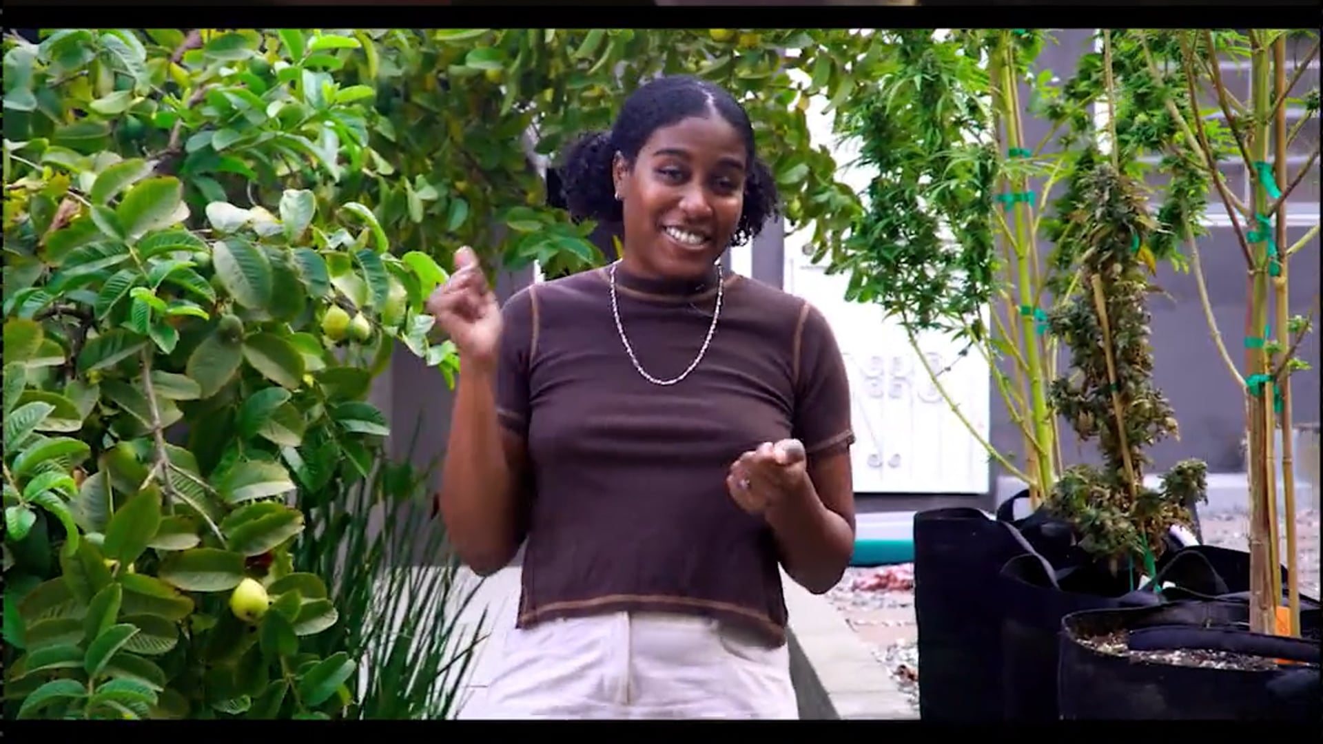 SEEKING MAVIS BEACON - DIGITAL SPOT "CULTURE" 9x16