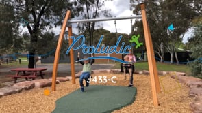 1 flat seat, 1 cradle seat J433-C® playgrounds traditional playground equipment swings video