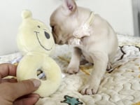 Watch me play!