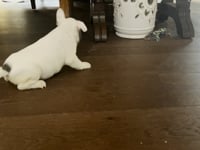 Watch me play!