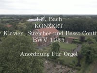 Olga Malkina - JS Bach Konzert