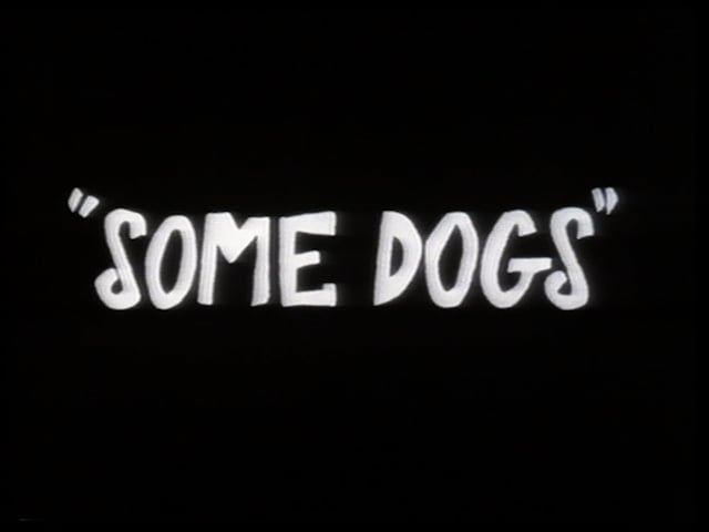 Thumbnail for Some Dogs