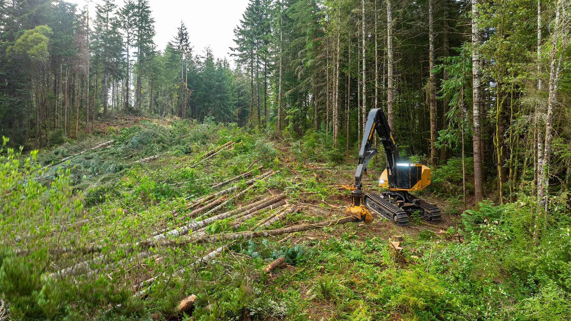 LS857 Shovel Logger | Steep Slope Forestry | Tigercat
