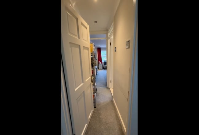 Video 1: