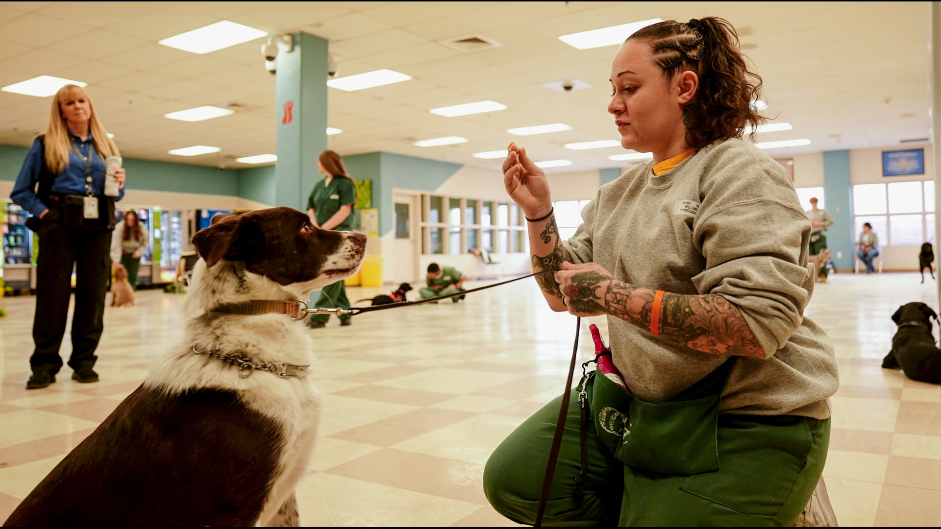 Nothing Safer [DOCUMENTARY] 2024