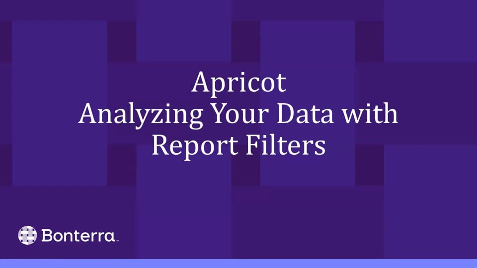 Analyzing Your Data with Report Filters