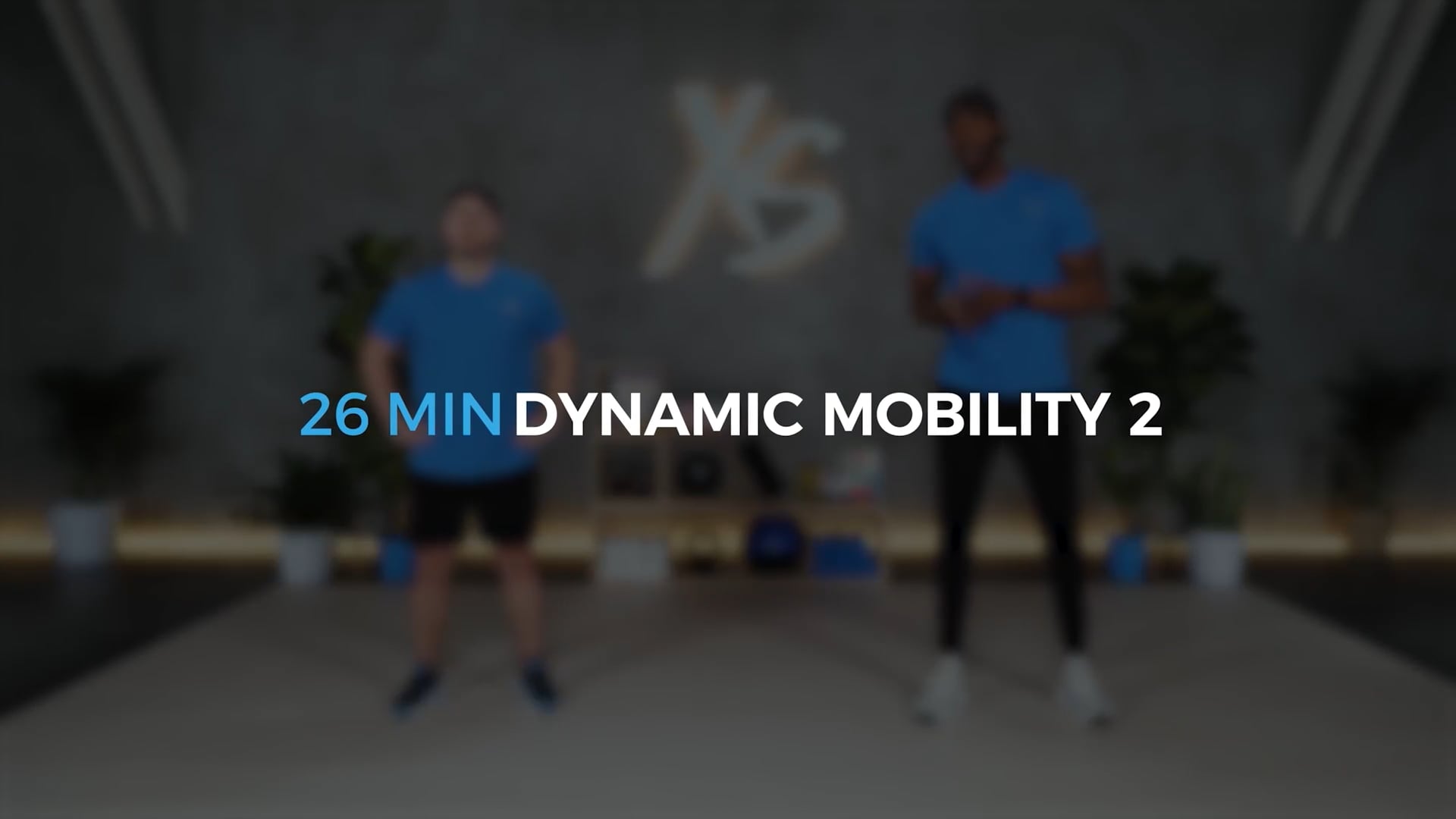 DYNAMIC MOBILITY 2