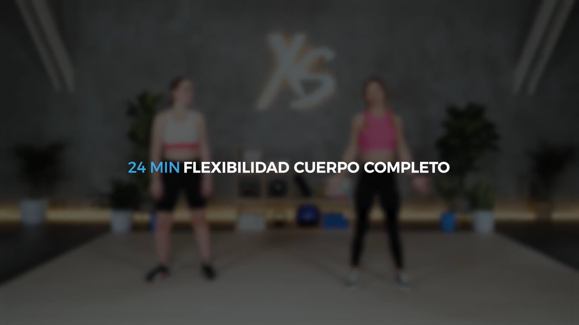 MOVILIDAD DINÁMICA 2