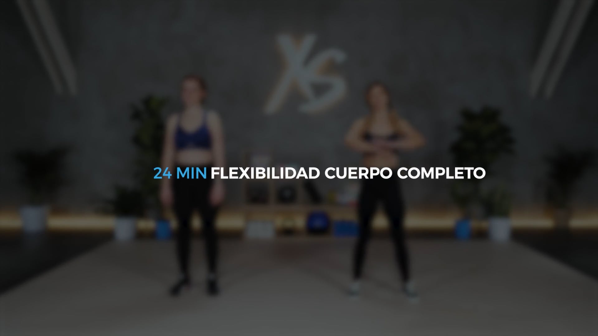 MOVILIDAD DINÁMICA 1