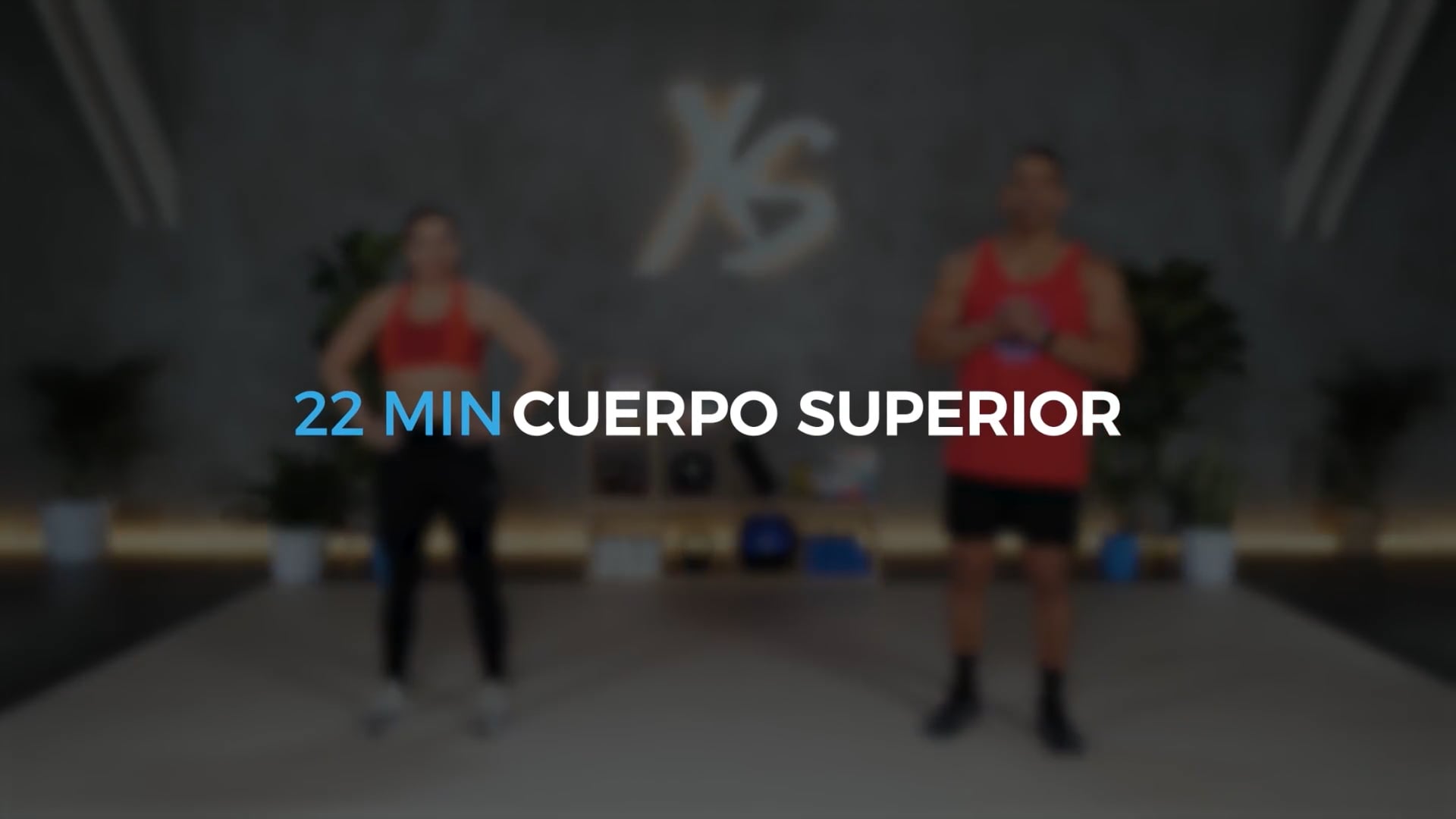 CUERPO SUPERIOR