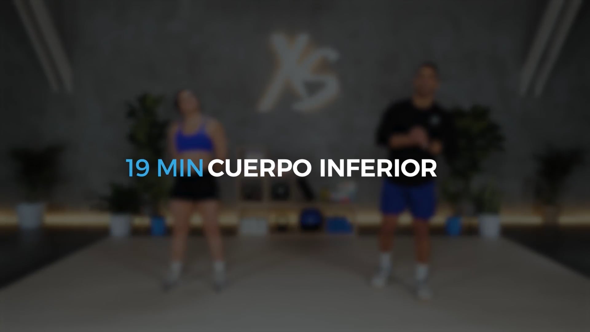 CUERPO INFERIOR