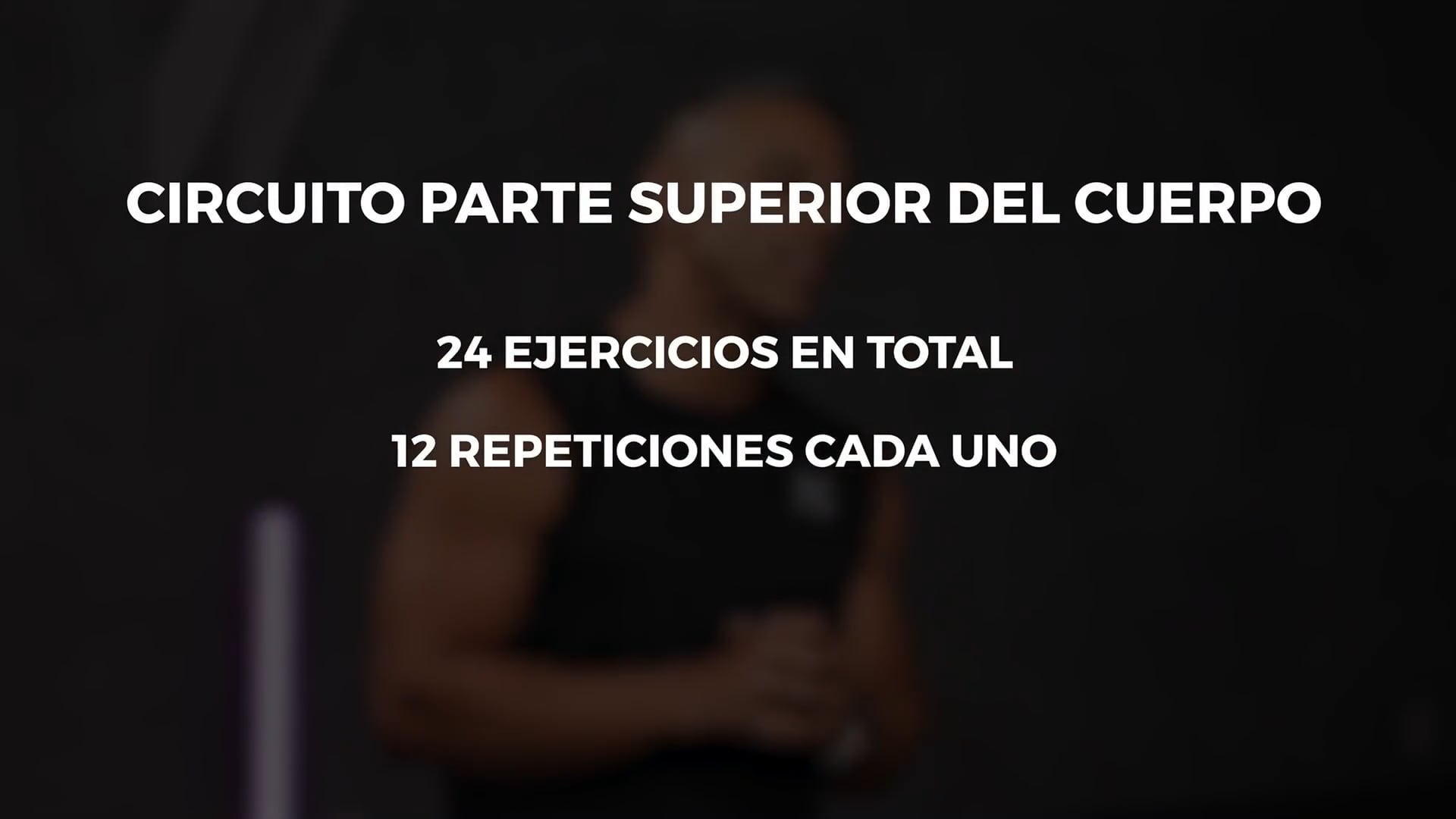 CIRCUITO PARTE SUPERIOR DEL CUERPO