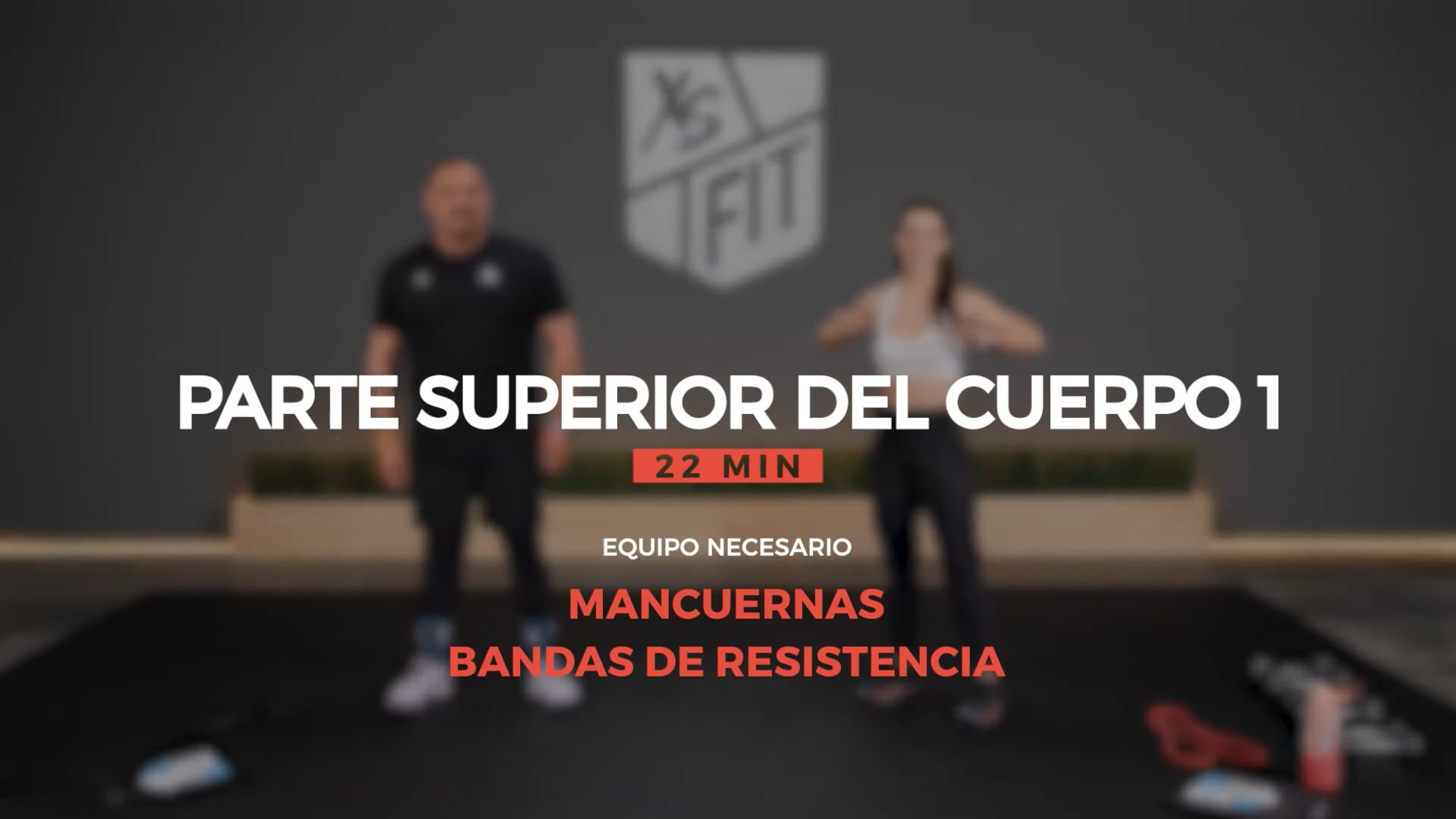 PARTE SUPERIOR DEL CUERPO 1