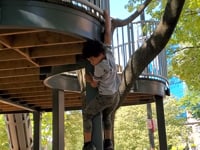 Related Embedded Video Item Thumbnail