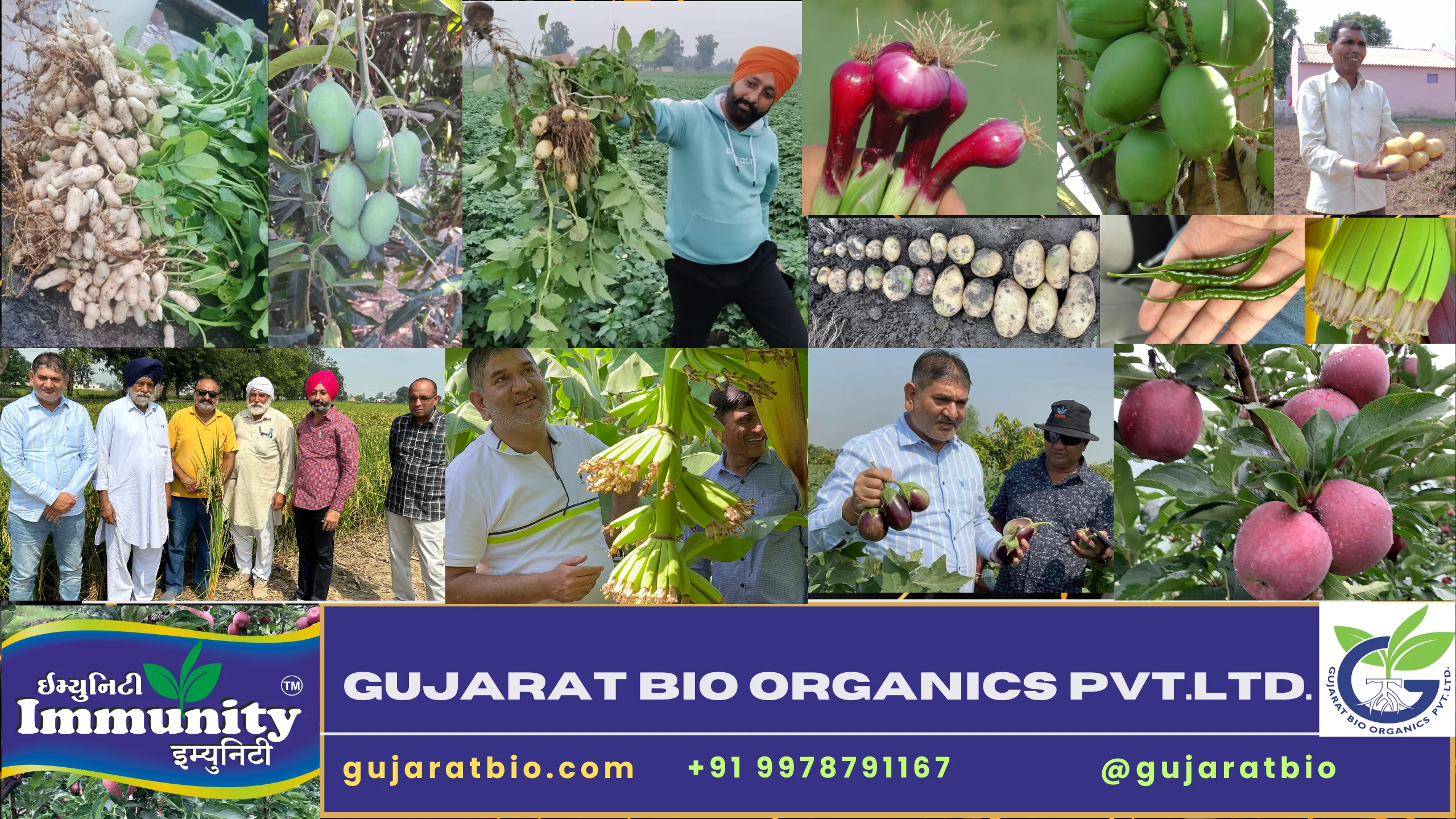 Best Organic Fertilizer for Sugarcane | By Gujarat Bio Organics | Top ...