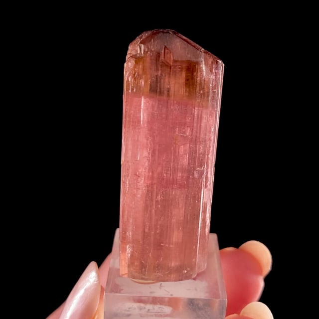 Tourmaline (bi-color)