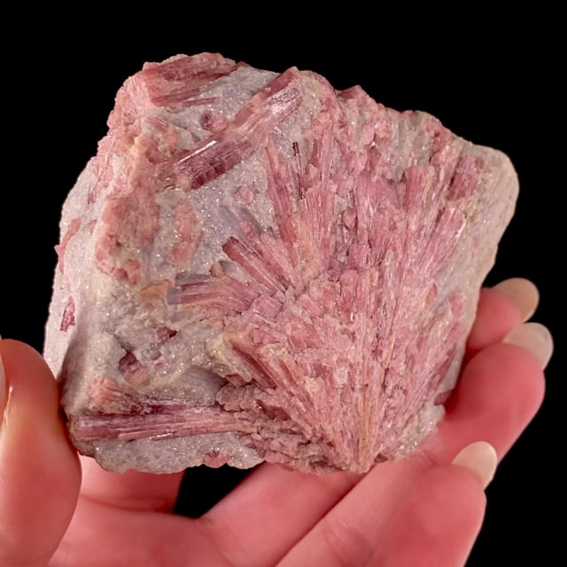 Tourmaline var: Rubellite in ''Lepidolite'' (historic specimen)