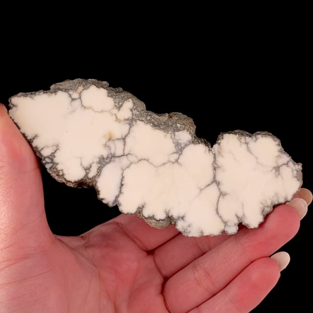 Howlite (polished)