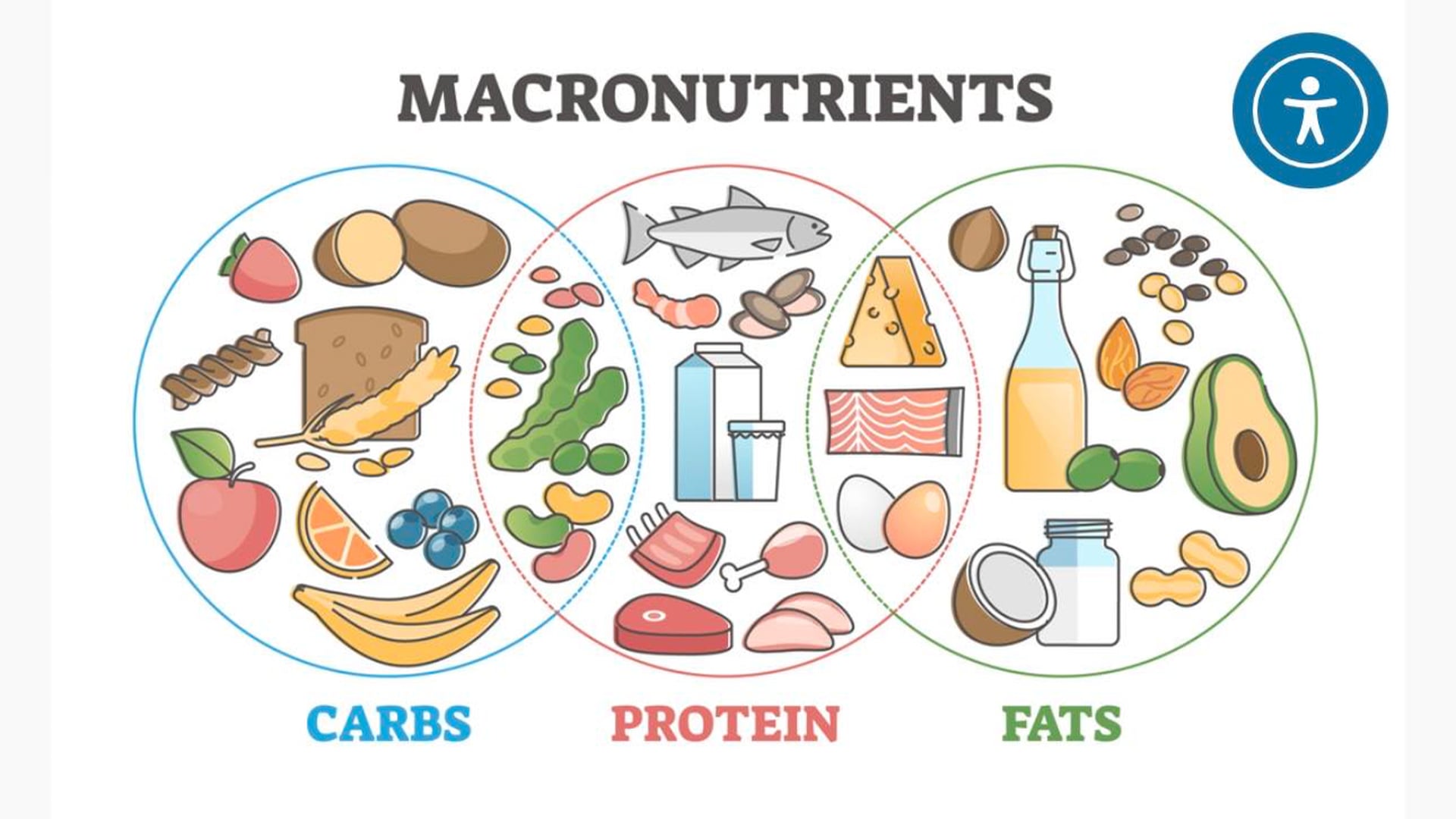 Week 1 - Macronutrients