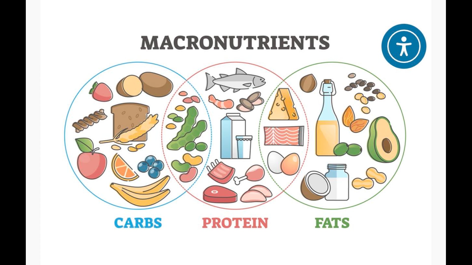 Week 1 - Macronutrients