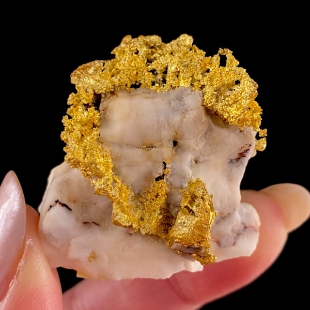 Gold on Quartz (RARE locality specimen)