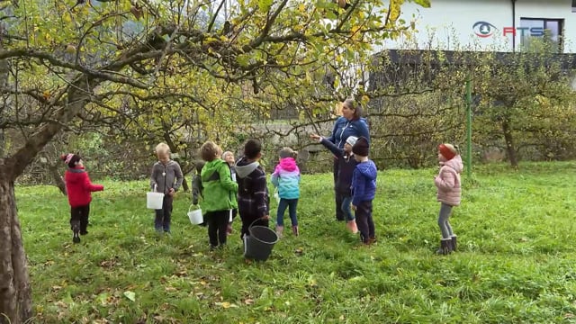 naturschule-volksschulkinder-lernen-alles-ueber-den-apfel