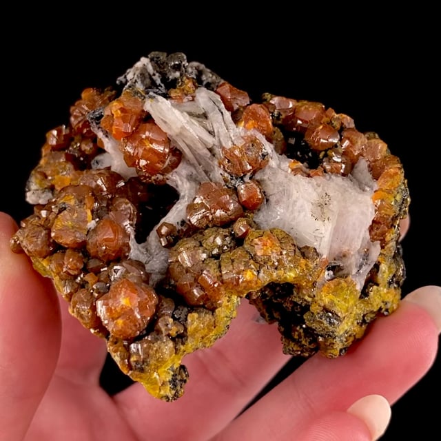 Mimetite var: Campylite (classic material)