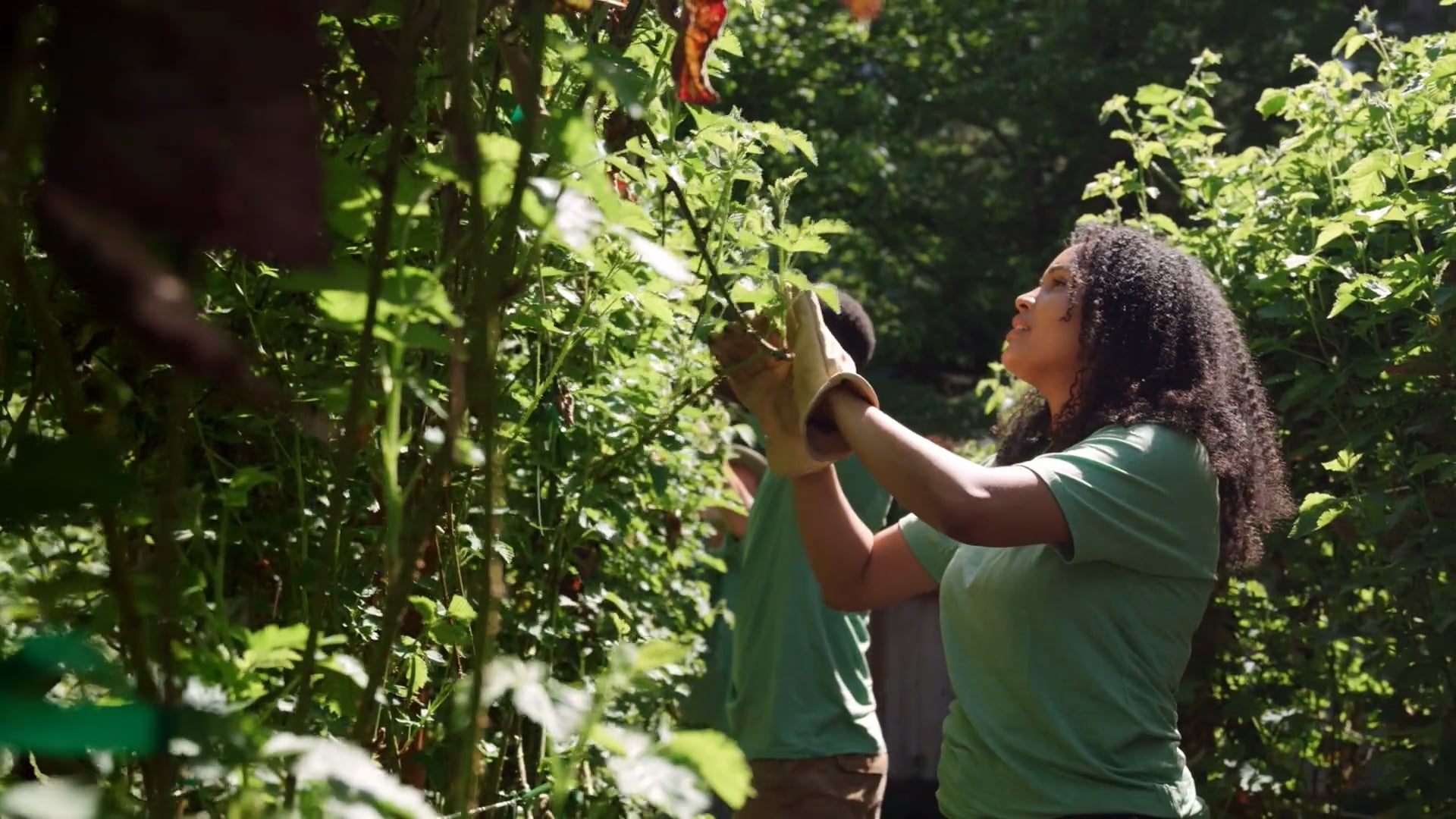 Public Health Americorps