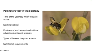 Emily Erickson – Gardening for Pollinators – Using Ecology to guide Plant Selection and Design