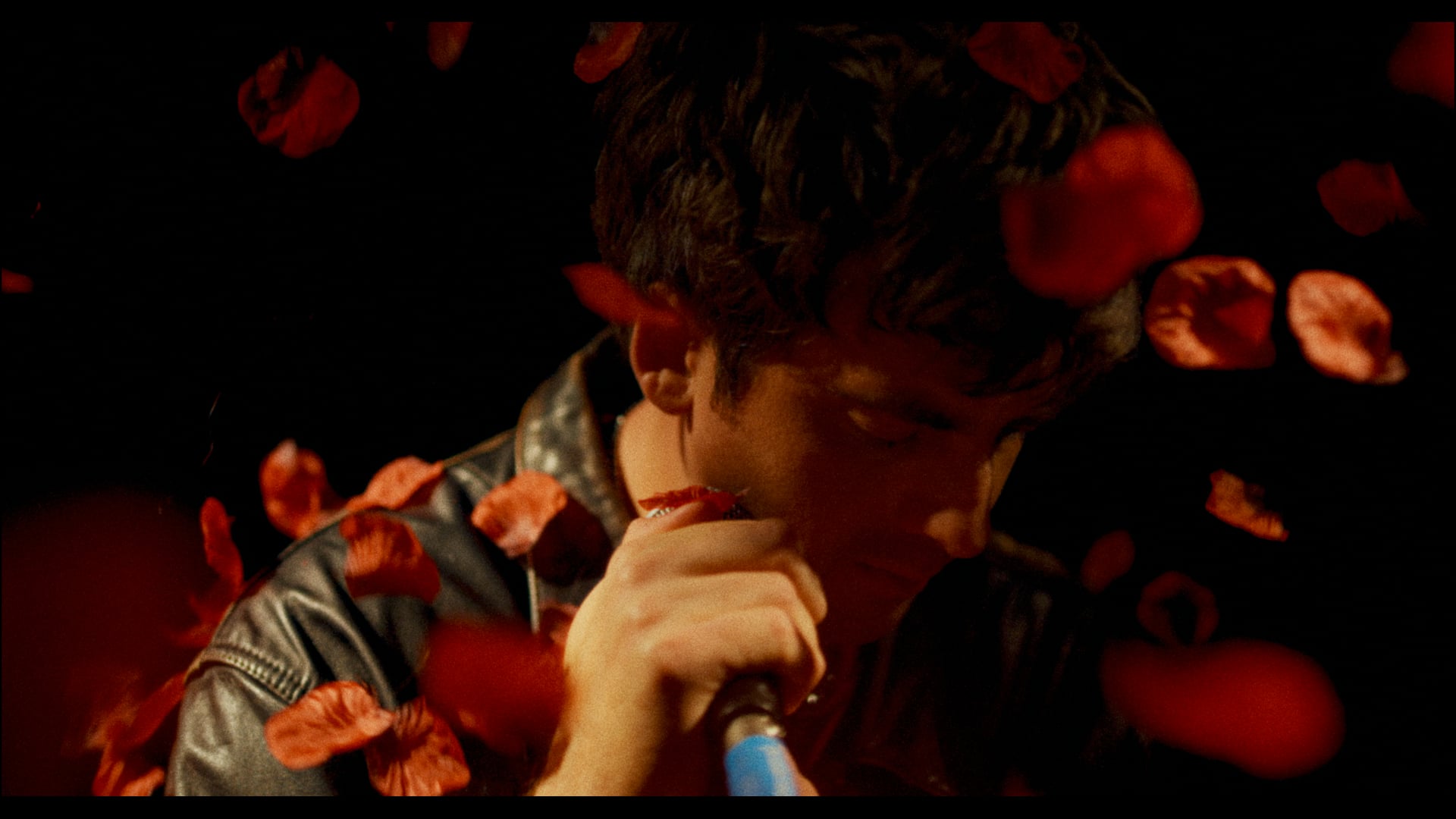 Circa Waves - We Made It [Music video]