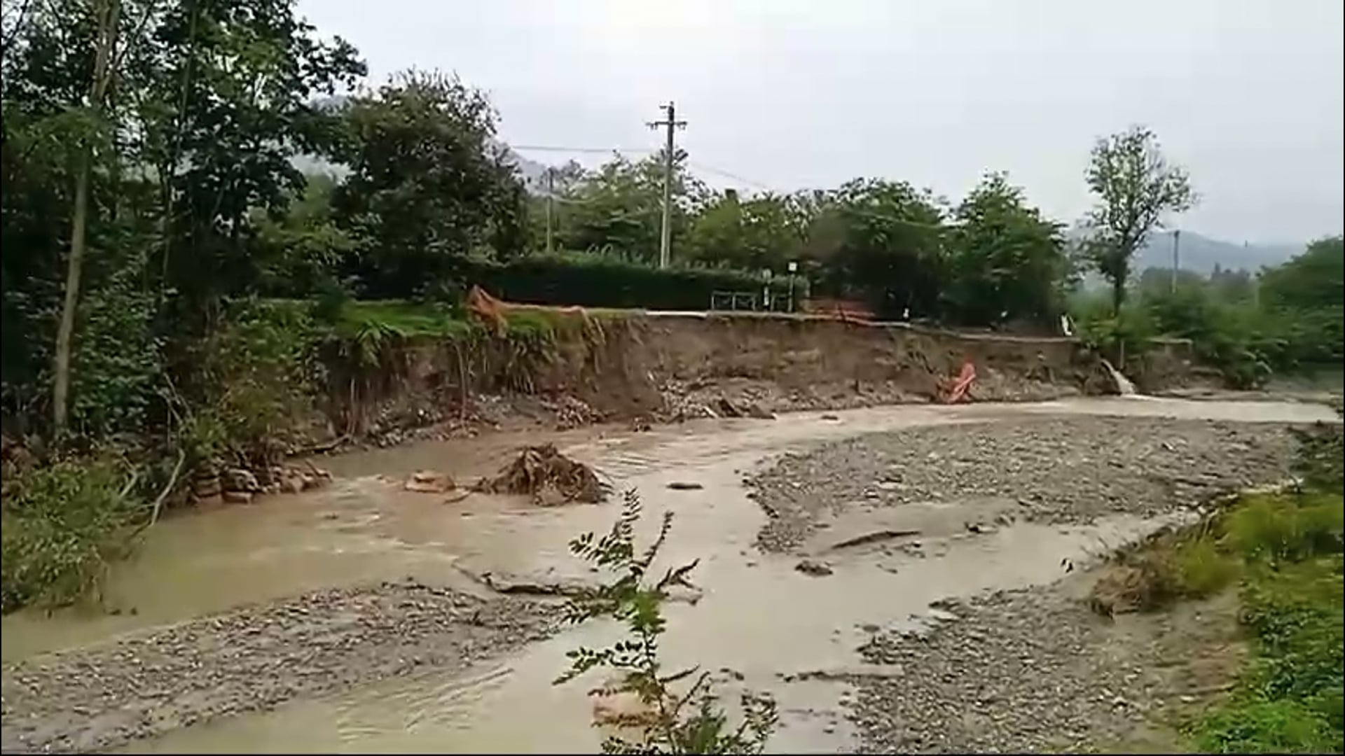 Il drammatico appello dalle colline di Zola Predosa
