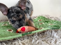 Watch me play!