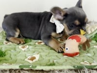 Watch me play!