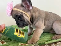 Watch me play!