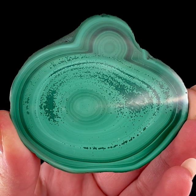 Malachite (polished stalactite) Katanga Copper Crescent, HautKatanga