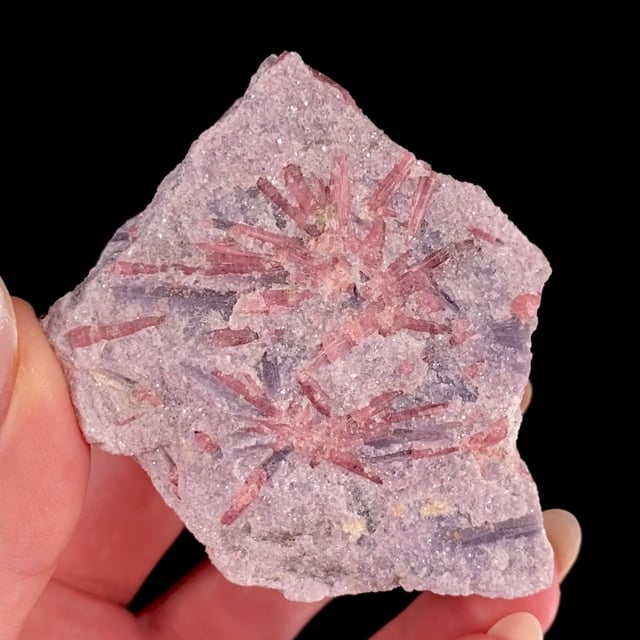 Rubellite Tourmaline in/on ''Lepidolite''