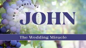 The Wedding Miracle | Greg Fraser