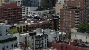 Monica Alvarez - Drink Body Armor