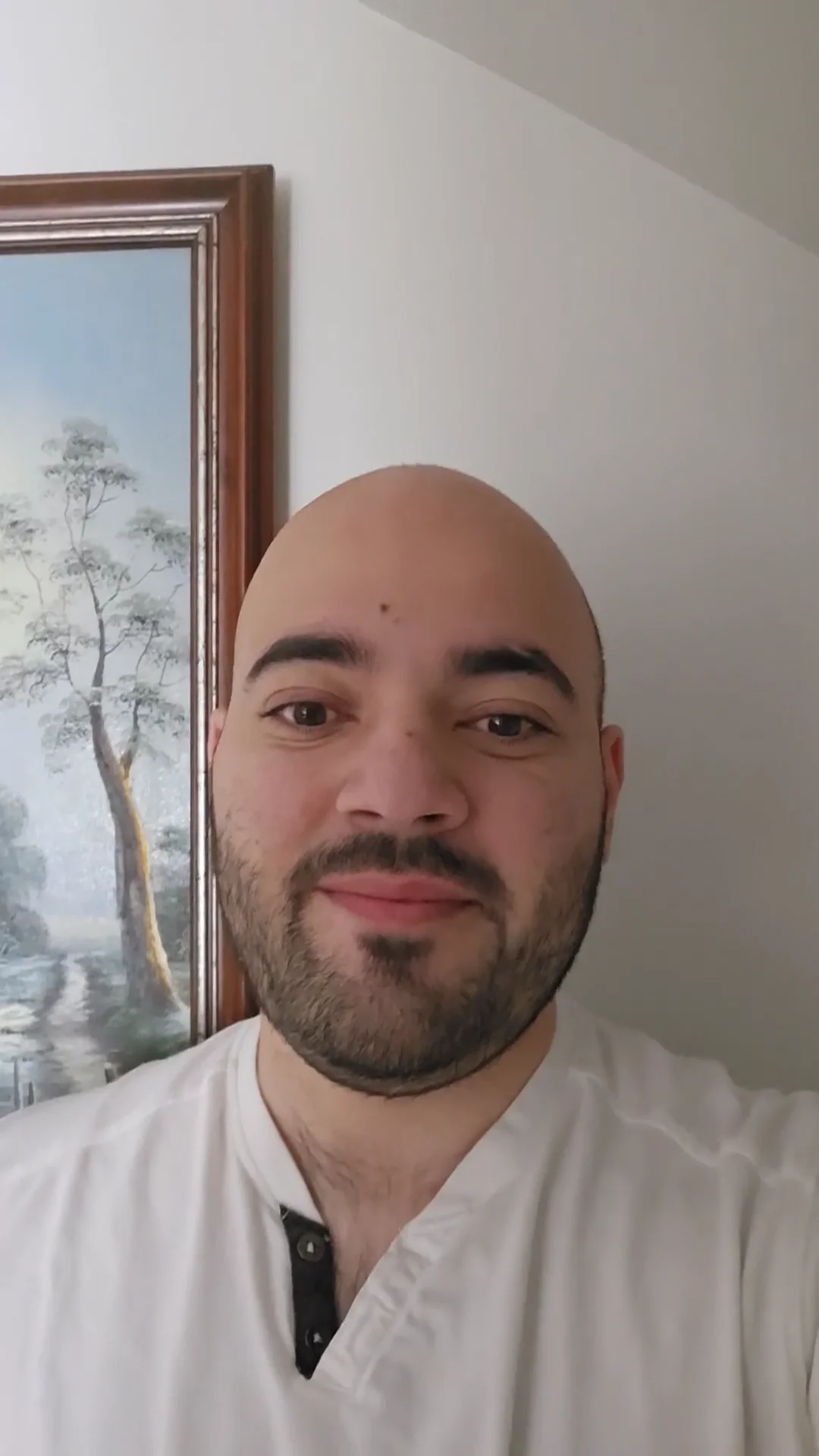 Therapist in chicago illinois arbin memisi lpc