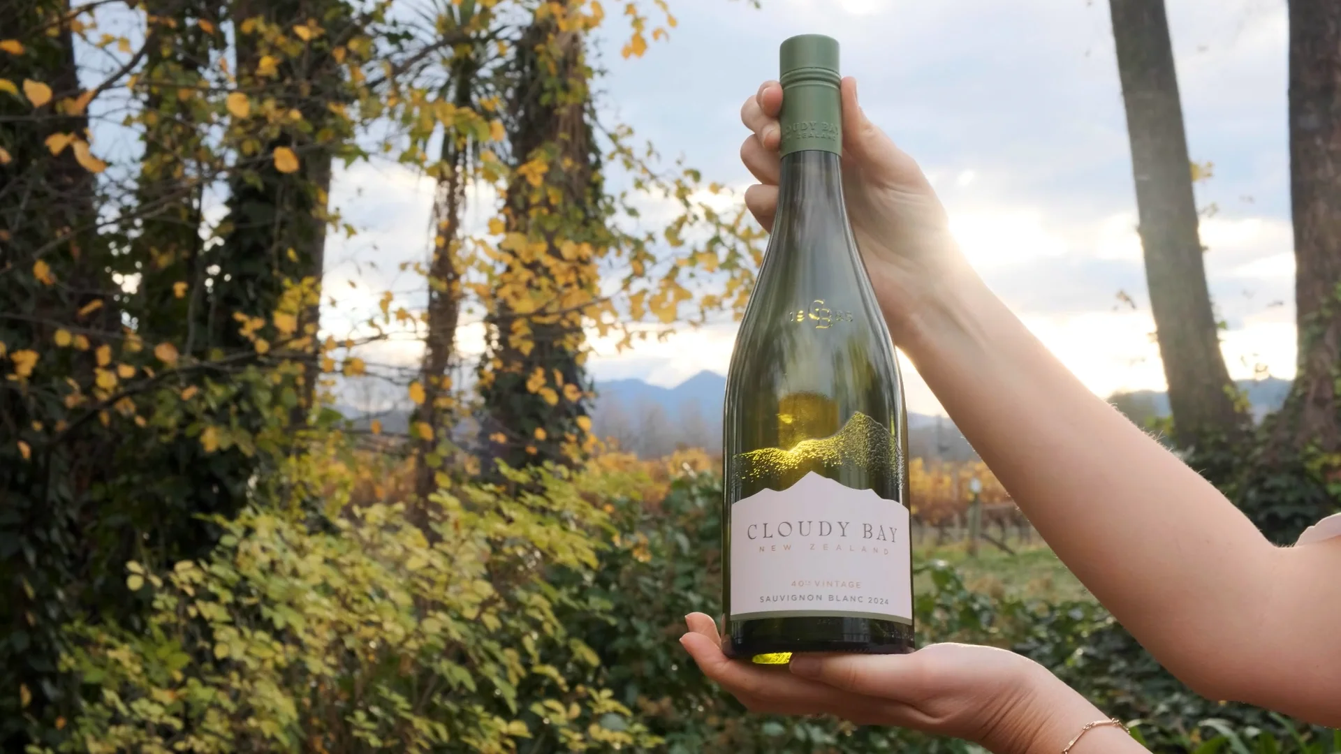 Cloudy Bay Sauvignon Blanc 2024 | Wine.com