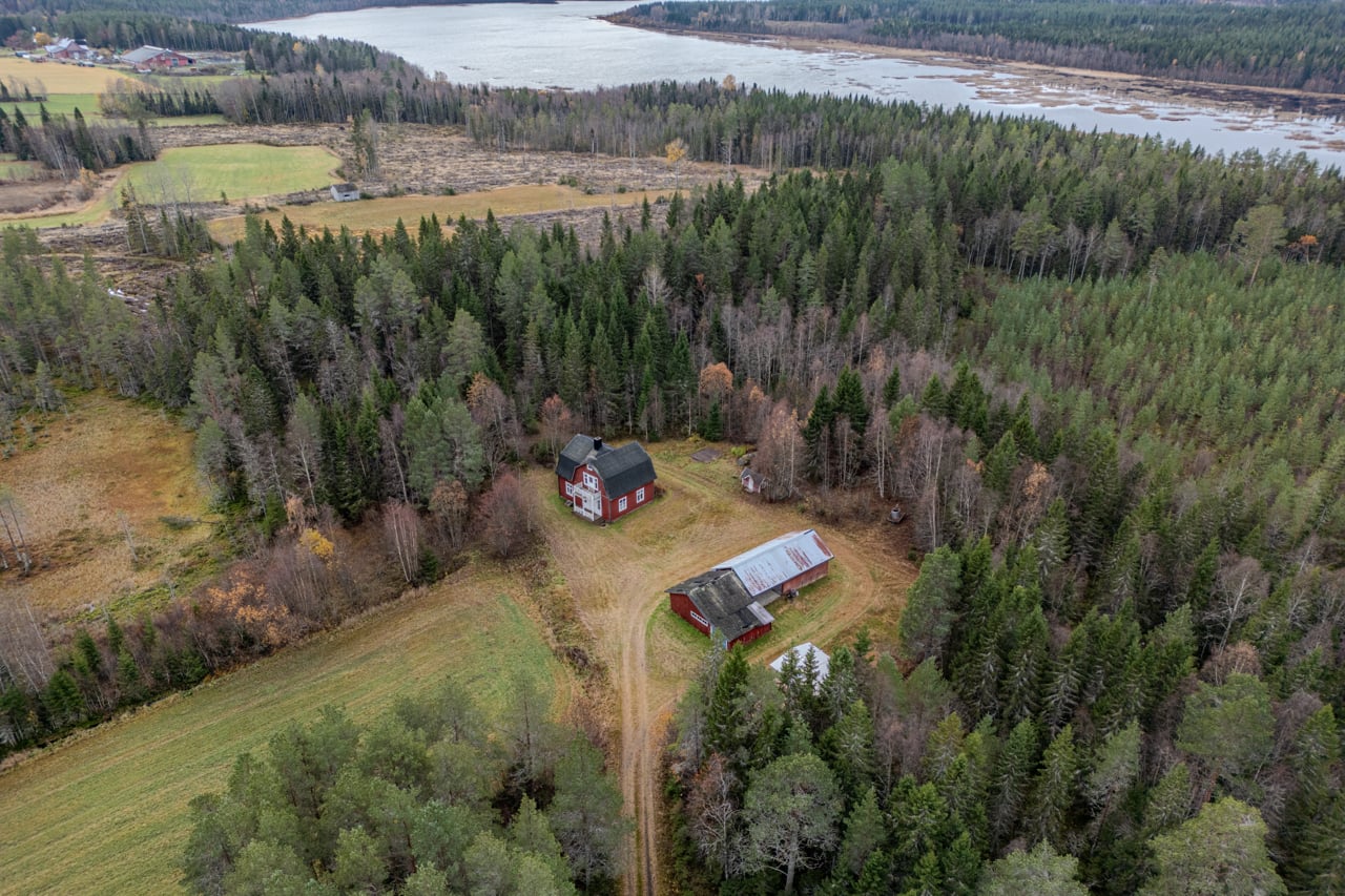 Gård/skog på Nolbyn 22 Nolbyn Skellefteå kommun