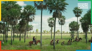 Vignette de la vidéo