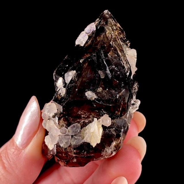 Quartz var: Smoky (Elestial / Skeletal) with Fluorite and Calcite