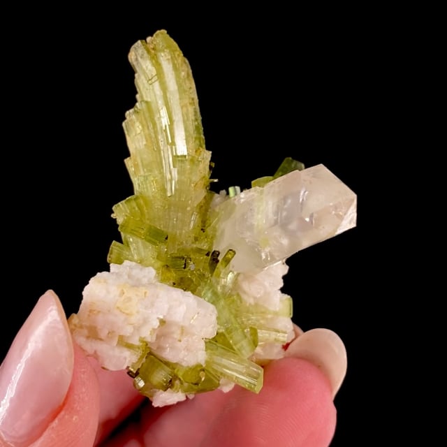 Tourmaline (''bent'' crystals) with Quartz and Albite