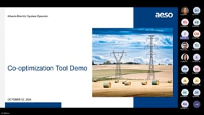 REM Co-optimization Tool Demo Session - Oct. 22, 2024 [Posted: Oct. 23, 2024]