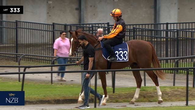Lot 333