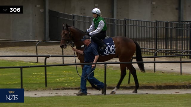 Lot 306
