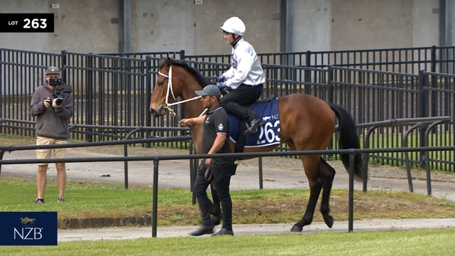 Lot 263